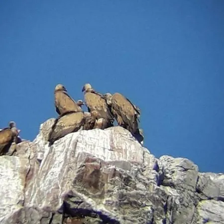 Rurales El Trillo Malpartida De Plasencia