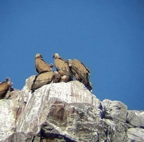 Rurales El Trillo Malpartida De Plasencia